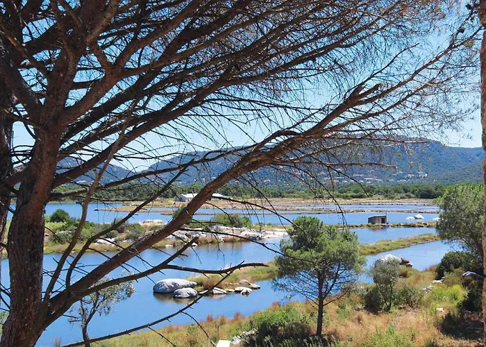 In Corsica Near Palombaggia *